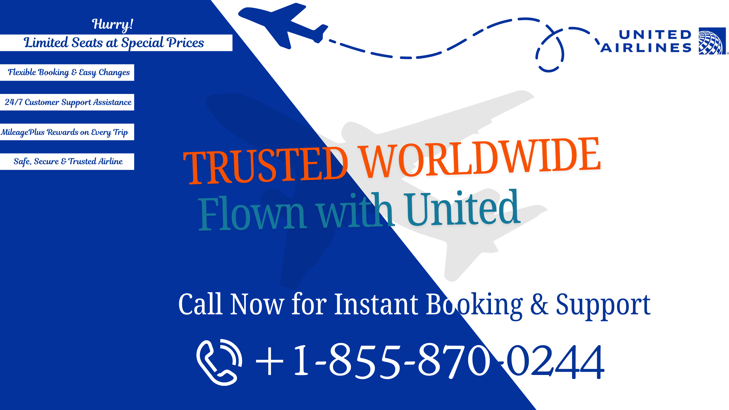 How to Contact Lufthansa Customer Support  | StudyX